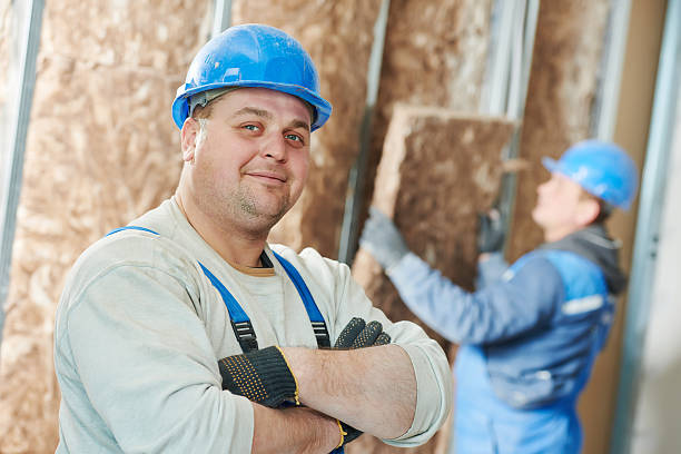 Best Attic Insulation Installation  in La Harpe, IL